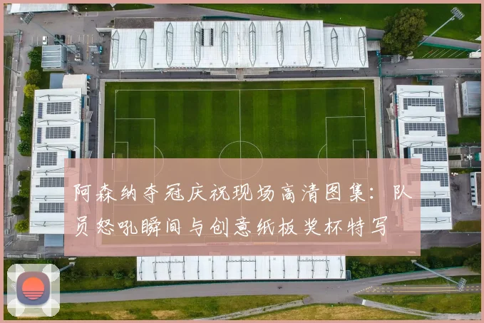 阿森纳夺冠庆祝现场高清图集:队员怒吼瞬间与创意纸板奖杯特写